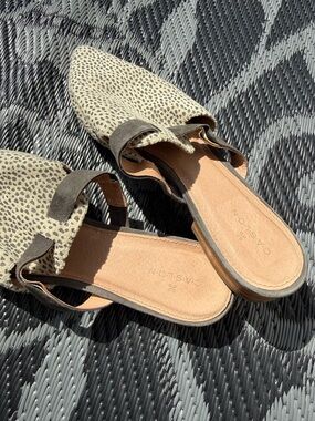 Caslon Jame Womens Shoes Mules Leopard Print Fabric Slip On Taupe Black 9.5